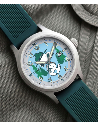 Timex Peanuts Expedition Scout TW2Y84800 Watch