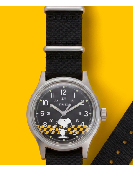 Timex Peanuts Mk1 TW2Y85400 Watch