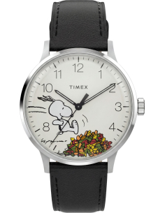 Timex Peanuts Waterbury Classic TW2Y85600 Watch