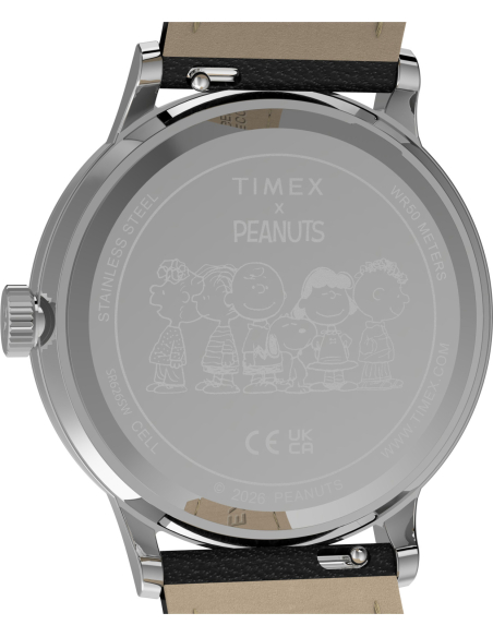 Timex Peanuts Waterbury Classic TW2Y85600 Watch