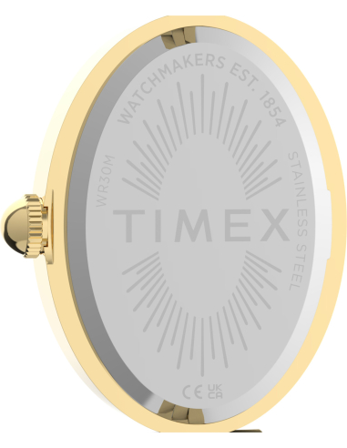 Timex Cavatina Luxe TW2Y86100 Watch