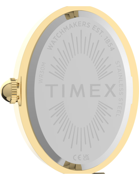 Timex Cavatina Luxe TW2Y86100 Watch
