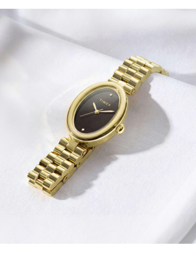 Timex Cavatina Luxe TW2Y86200 Watch