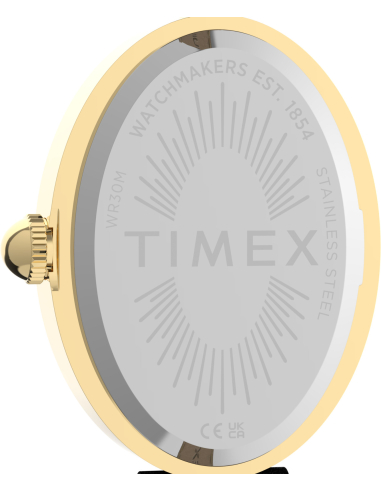 Timex Cavatina Luxe TW2Y86300 Watch
