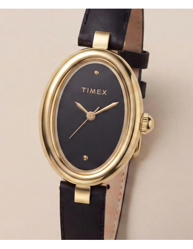 Timex Cavatina Luxe TW2Y86300 Watch