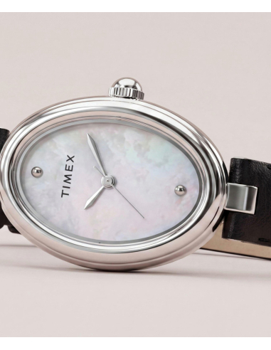 Timex Cavatina Luxe TW2Y86400 Watch