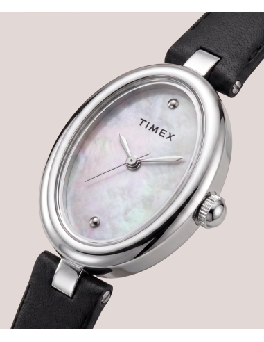 Timex Cavatina Luxe TW2Y86400 Watch
