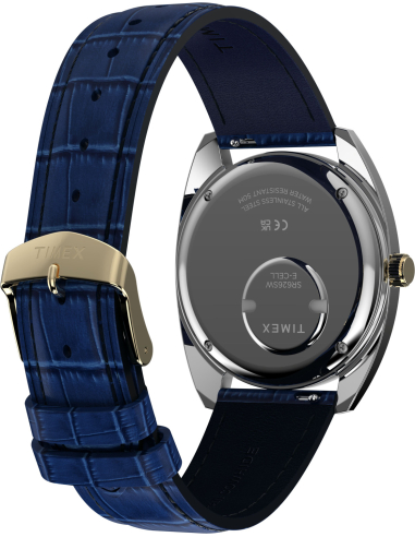 Timex Reissue TW2Y87100 Watch