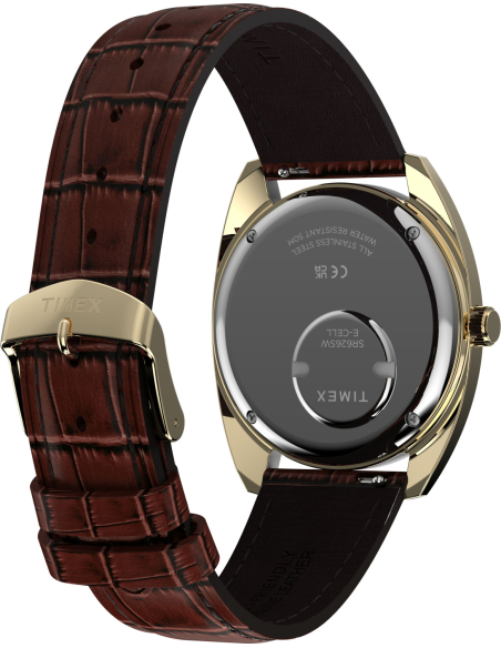 Timex Reissue TW2Y87200 Watch