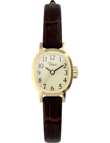 Timex Cavatina Mini TW2Y87700 Watch