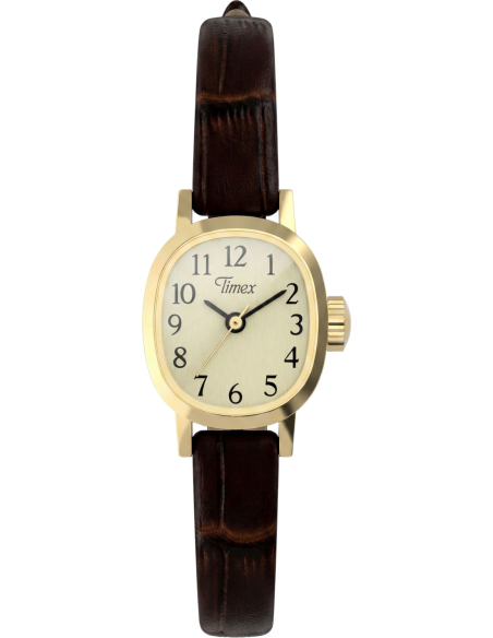 Timex Cavatina Mini TW2Y87700 Watch