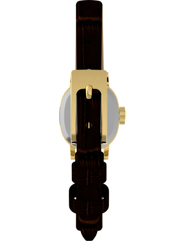 Timex Cavatina Mini TW2Y87700 Watch