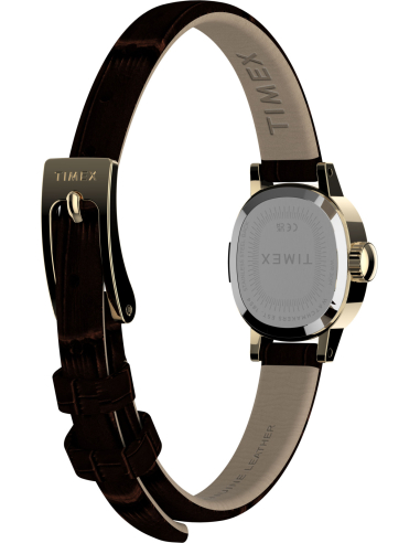 Timex Cavatina Mini TW2Y87700 Watch