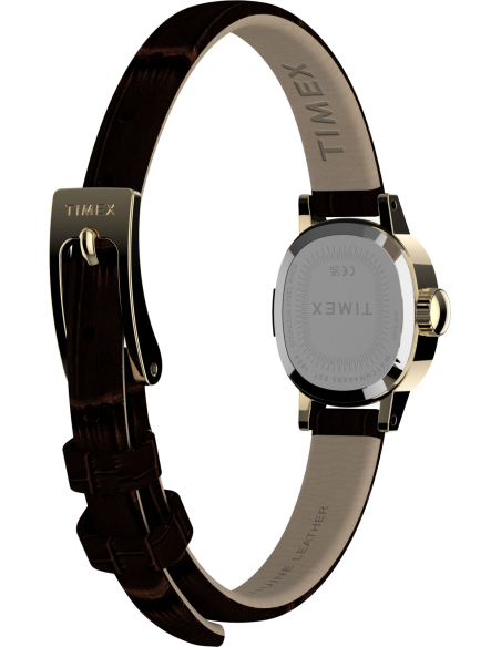 Timex Cavatina Mini TW2Y87700 Watch