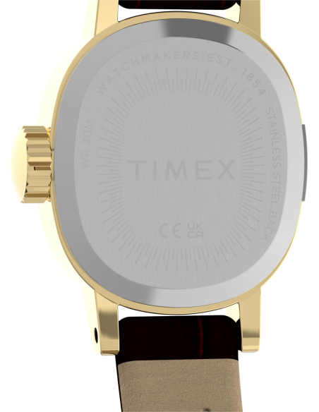 Timex Cavatina Mini TW2Y87700 Watch