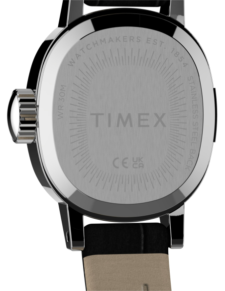 Timex Cavatina Mini TW2Y87800 Watch