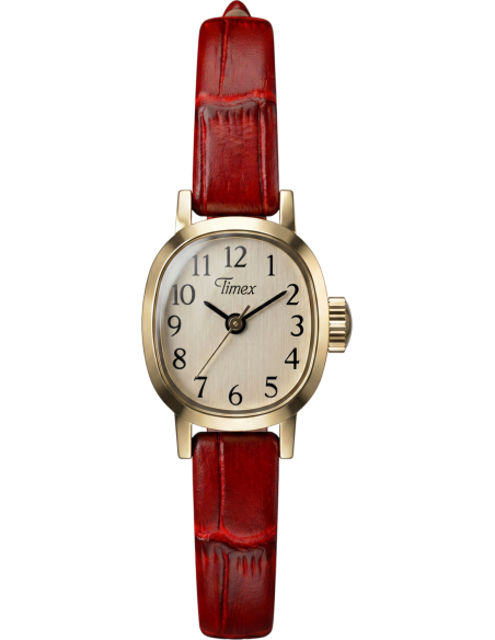 Timex Cavatina Mini TW2Y87900 Watch