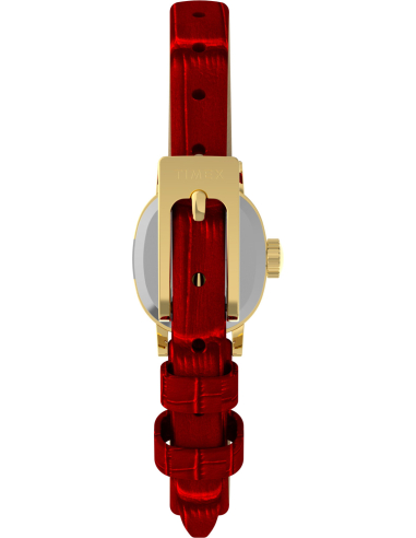 Timex Cavatina Mini TW2Y87900 Watch