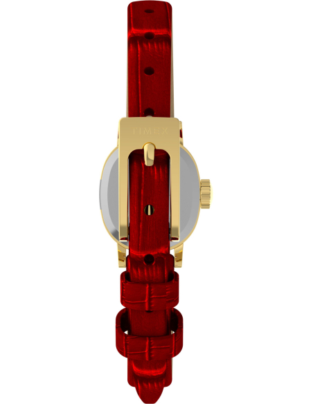 Timex Cavatina Mini TW2Y87900 Watch
