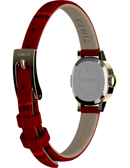 Timex Cavatina Mini TW2Y87900 Watch