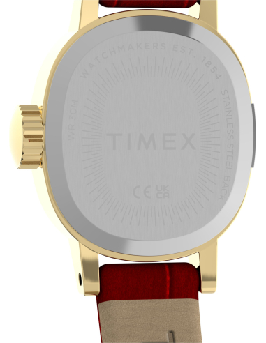 Timex Cavatina Mini TW2Y87900 Watch