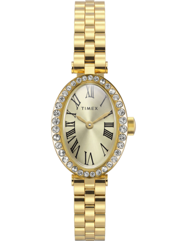 Timex Cavatina TW2Y90100 Watch