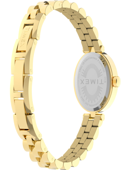 Timex Cavatina TW2Y90100 Watch