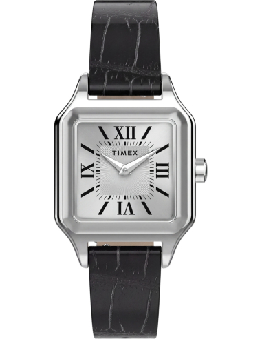 Timex Addison TW2Y90600 Watch