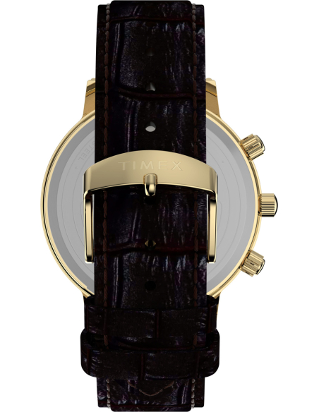 Timex Lab Reissue TW2Y99000 Watch