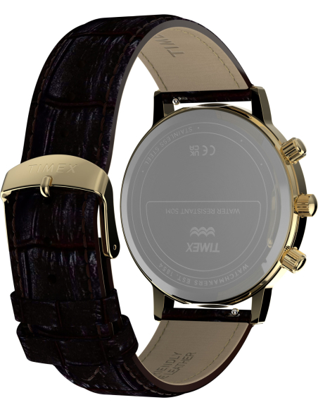 Timex Lab Reissue TW2Y99000 Watch