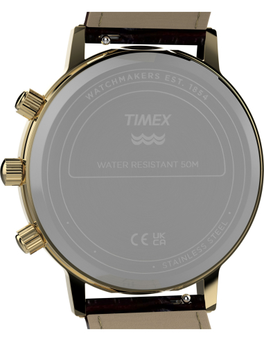 Timex Lab Reissue TW2Y99000 Watch