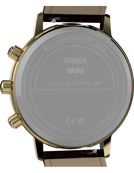 Timex Lab Reissue TW2Y99000 Watch