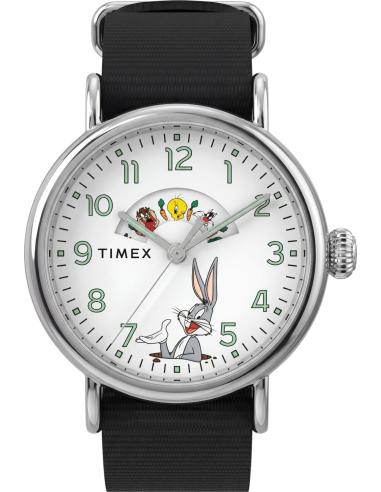 Timex Looney Tunes TW2Y99100 Watch