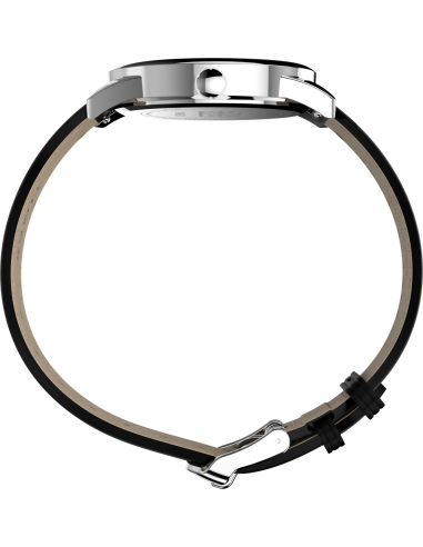 Timex Looney Tunes TW2Y99300 Watch