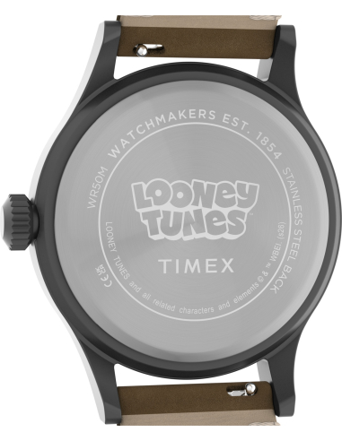 Timex Looney Tunes TW2Y99400 Watch
