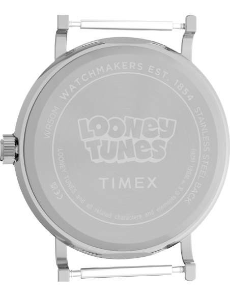Timex Looney Tunes TW2Y99500 Watch