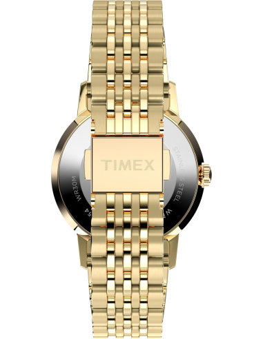 Timex Marlin TW6A04000 Watch