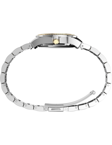 Timex Crystal TW6A04700 Watch