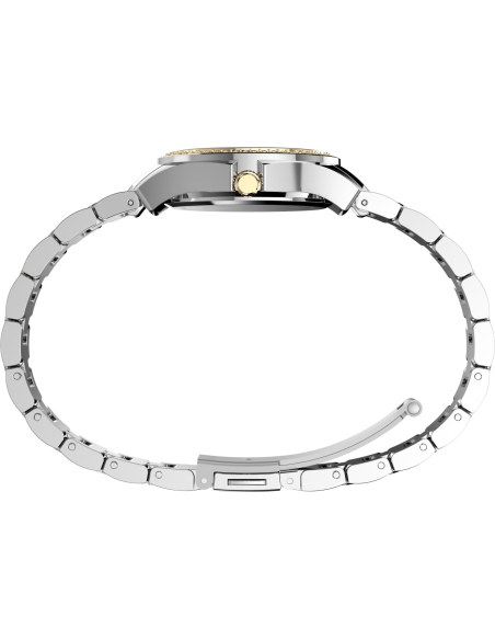 Timex Crystal TW6A04700 Watch