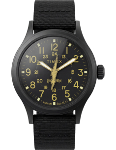 Timex Harry Potter TW6A05700 Watch