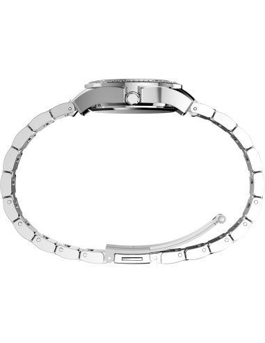 Timex Crystal TW6A05800 Watch