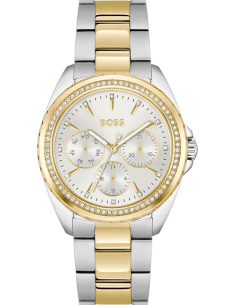 Hugo Boss Atea 1502713 Watch