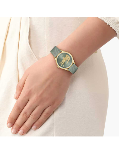 Lacoste Crocodelle 2001481 Watch