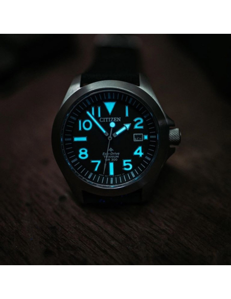 Citizen Promaster BN0118-04E Watch