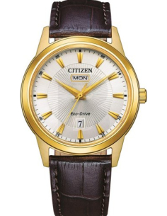 Citizen Eco-Drive AW0102-13AE Watch