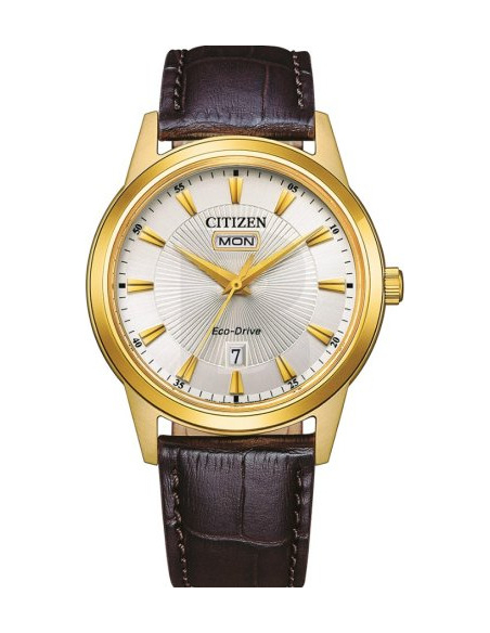 Citizen Eco-Drive AW0102-13AE Watch