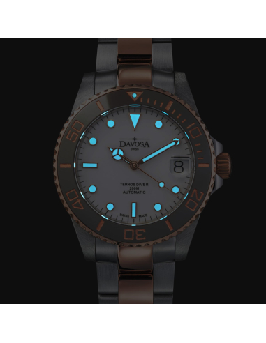 Davosa Ternos Medium 166.196.20 Watch