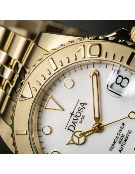 Davosa Ternos Medium 166.198.02 Watch