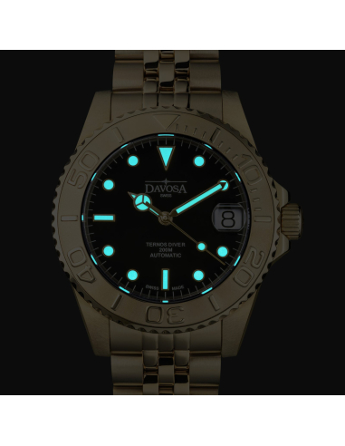 Davosa Ternos Medium 166.198.05 Watch