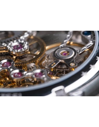 Poljot International Beringo 9910.1942111 Watch